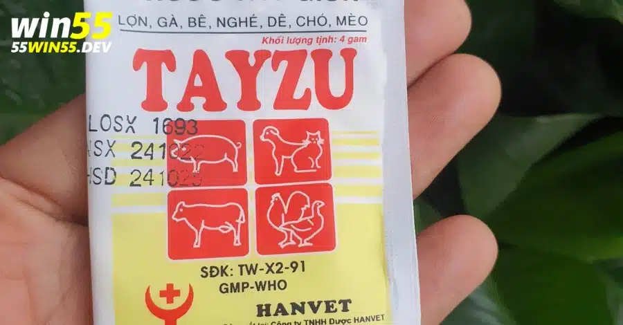 Cách xổ lãi cho gà bằng thuốc Tayzu là biện pháp hiệu quả có giá thành hợp lý